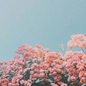 Meet your Posher, Blakelie